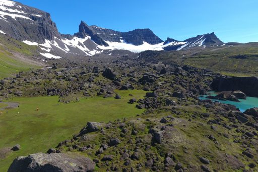 Mt. Dyrfjöll Hiking Tour